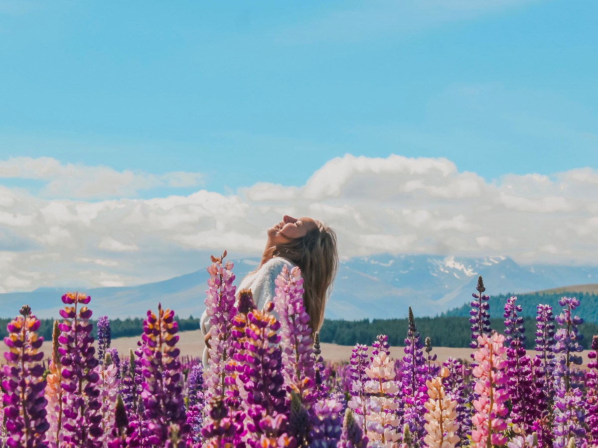 REFLEXÕES de um ano&nbsp;novo